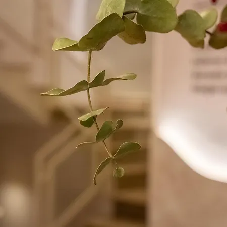 Casa Ollerias Hotel 2*