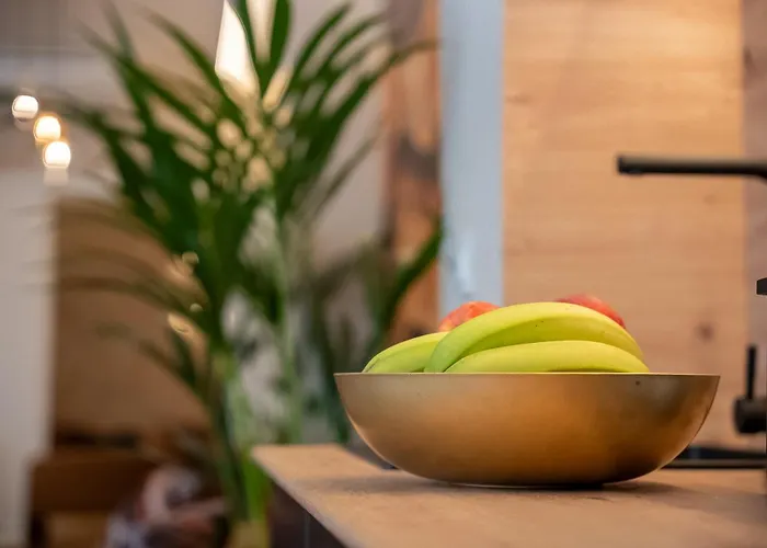 מלון Casa Ollerias קורדובה