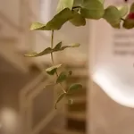 Casa Ollerias 招待所 3*